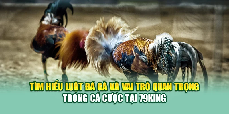 Tìm hiểu luật đá gà và vai trò quan trọng trong cá cược tại 79King